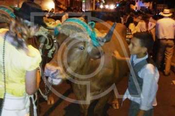 La romería de La Garita estrena circuito con éxito (Foto TA)